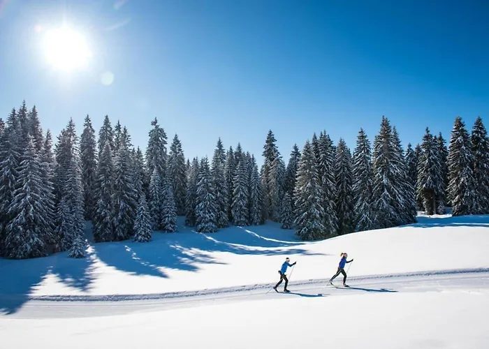 Superbe Appartement Au Pied Des Pistes -Le Chamois