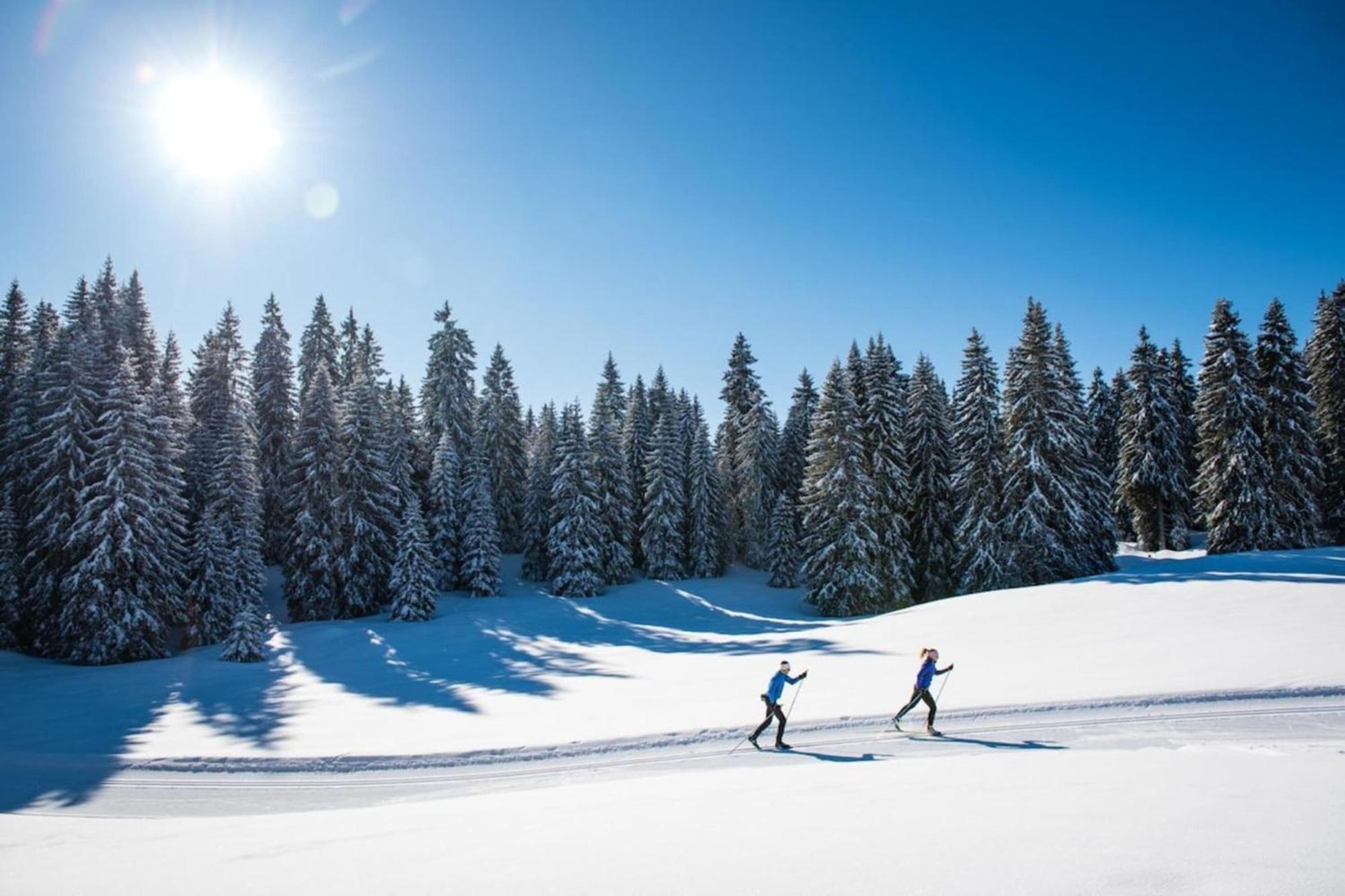 Superbe Au Pied Des Pistes -le Chamois
