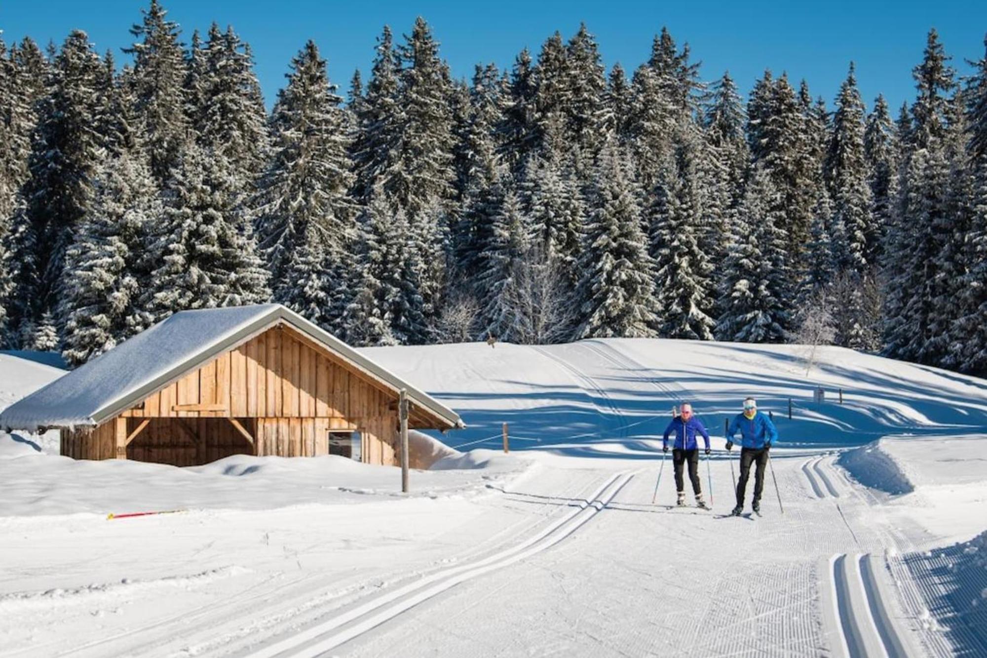 Apartment Superbe Au Pied Des Pistes -le Chamois Les Deserts (Savoie)